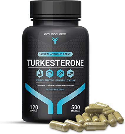 Fit and Focused Turkesterone Supplement 500mg, 120 Capsules (95% Ajuga Turkestanica Extrac